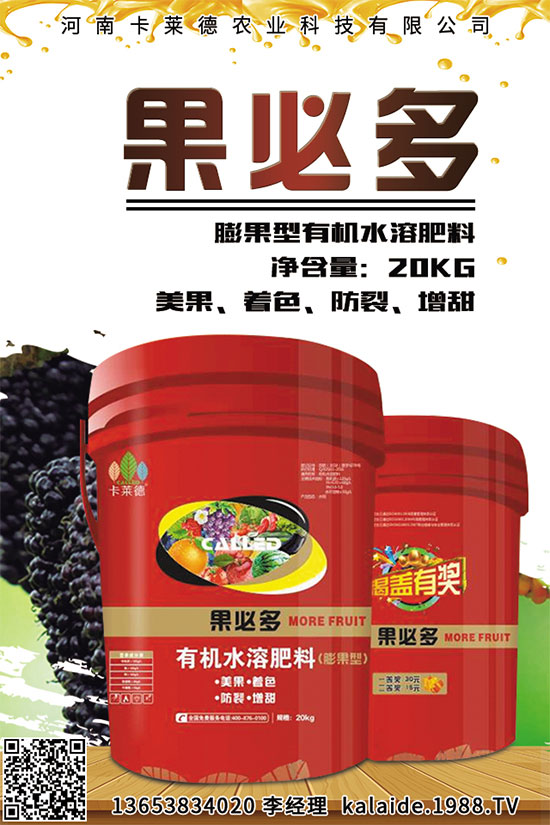 芥菜該怎么吃?常見(jiàn)芥菜吃法及注意事項(xiàng)