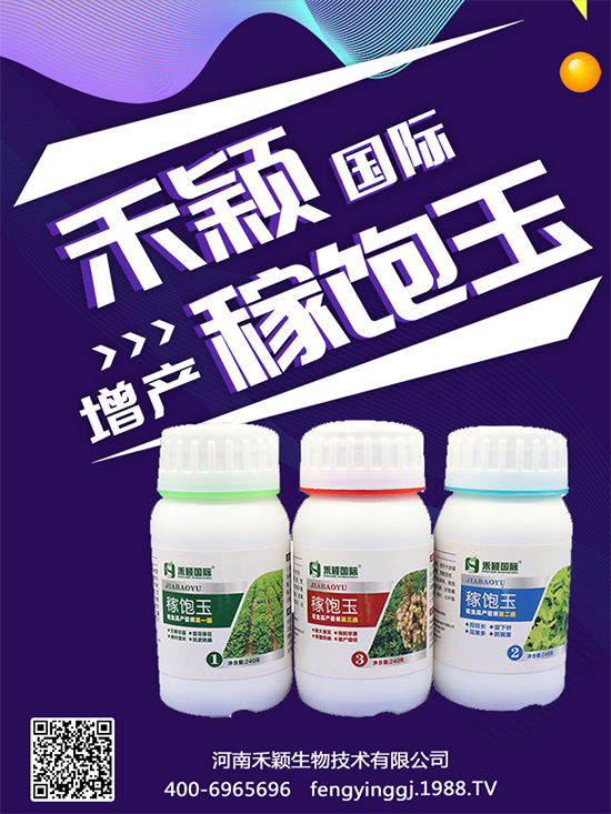 ����Nֲ���ի@�r(sh��)�g������Nֲ�����L�h(hu��n)����