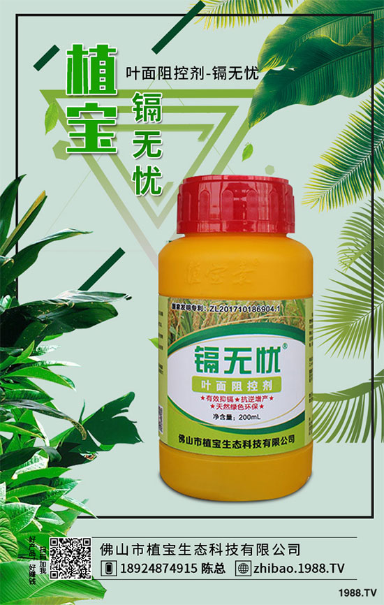 秋季大蔥什么時間種植?2019秋茬大蔥種植技術(shù)指南