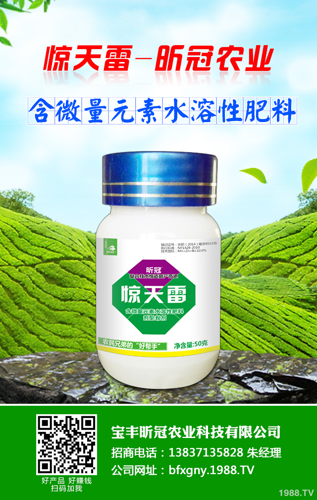 黃瓜葉燒怎么辦?黃瓜葉燒的預防措施