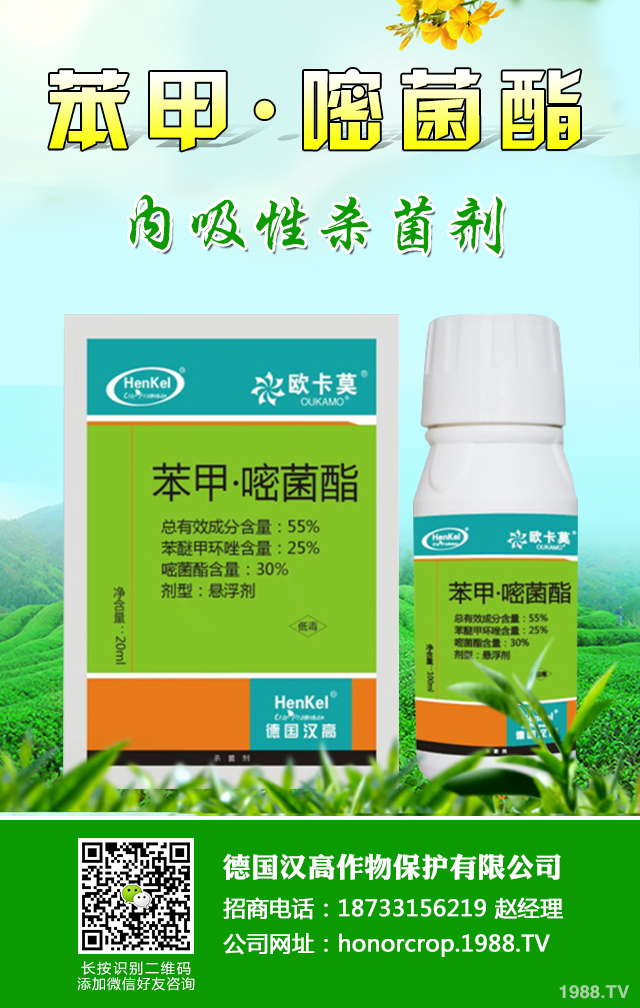 ���[˪ù����ô�k�����[˪ù�����μ���