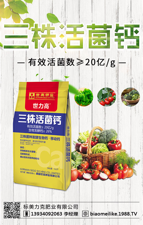 ���S��ʲô�r(sh��)������ã����S�������ע�����(xi��ng)��