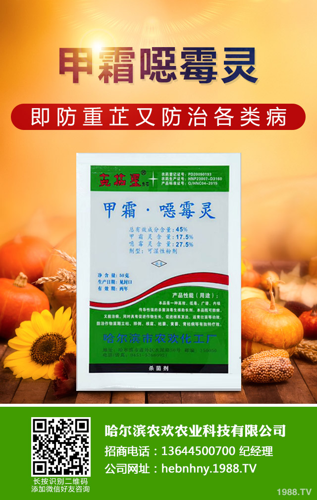 ��Щ������ɣ����P����ɣ����P�����μ���