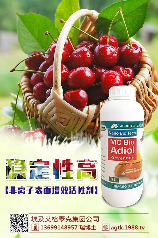 ���y�����ӷN�������y���NֲҪ�c��