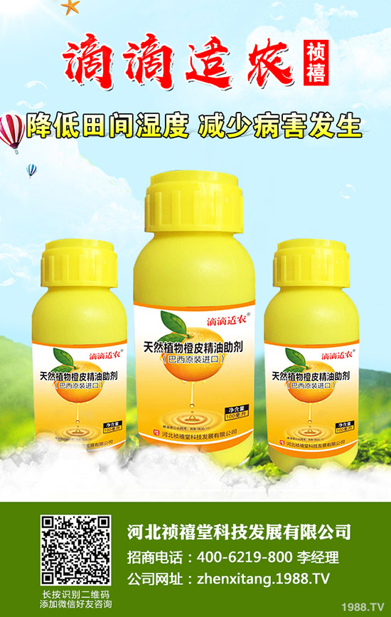 �＾��ݮ��ι������ܸ߮a(ch��n)���＾��ݮ��ֲ�������g(sh��)��