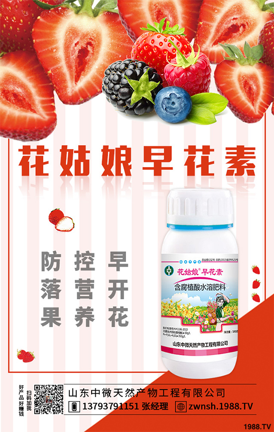 大蔥苗期病害有哪些危害表現(xiàn)？該如何預(yù)防？大蔥苗期病害預(yù)防措施