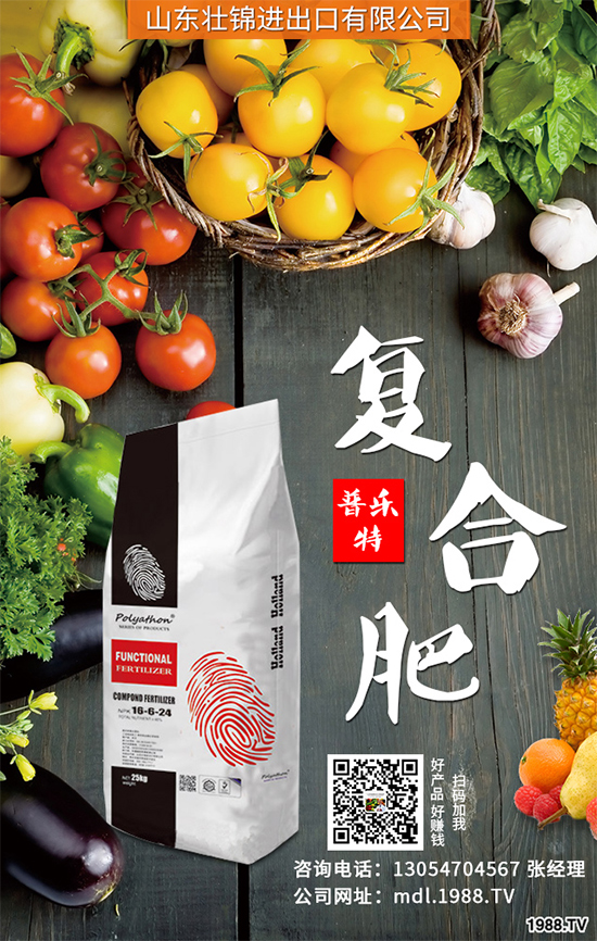 大蔥苗期病害有哪些危害表現(xiàn)？該如何預(yù)防？大蔥苗期病害預(yù)防措施