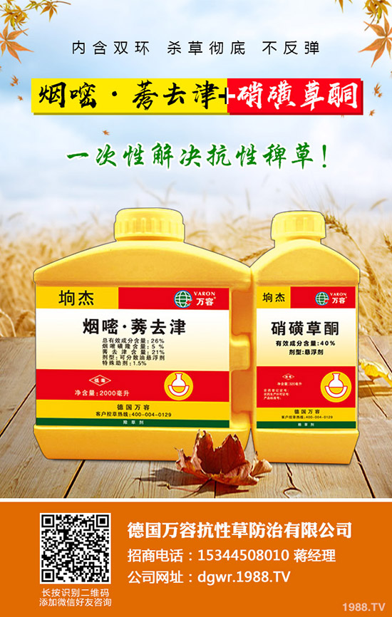 ��������ô�޽���������޽ӷ�����