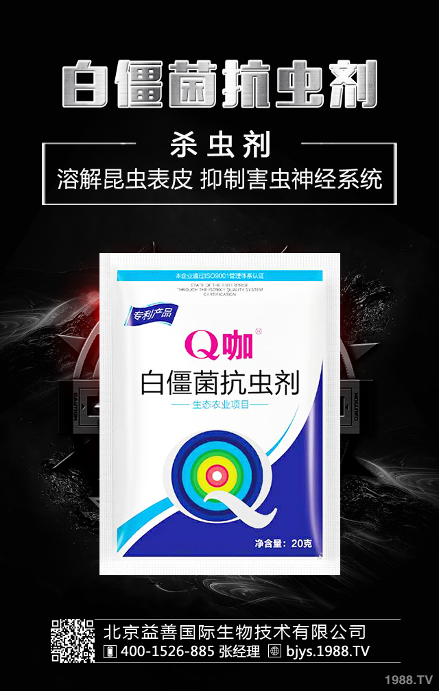 �¼����x����ô�������¼����x�����μ��\