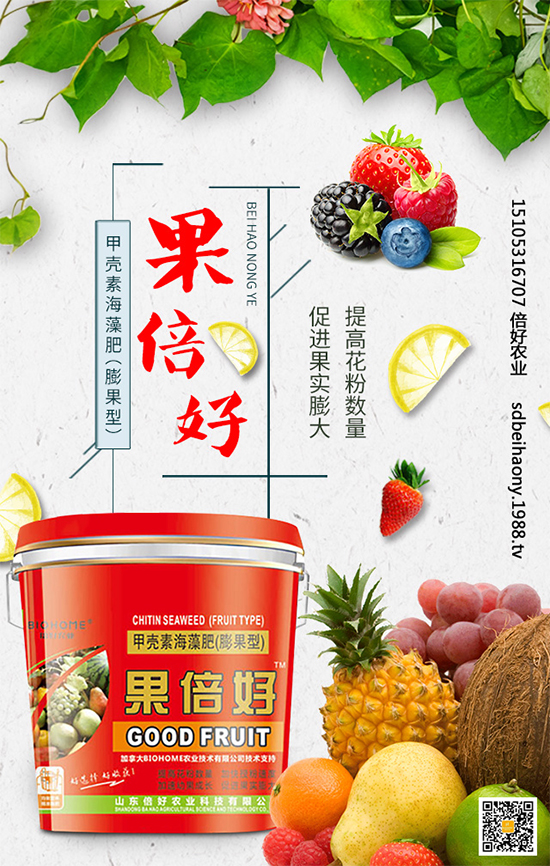 ʥŮ��ʲô�r(sh��)�g�Nֲ��ʥŮ���Nֲ���g(sh��)Ҫ�c(di��n)����Щ��