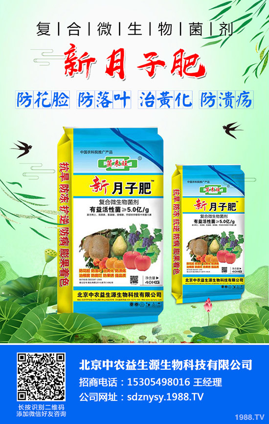 芹菜燒心、空心、葉柄開裂什么原因?芹菜燒心防治方法有哪些?