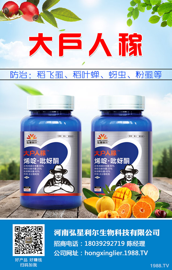 ���[�Nֲ��Ҫ��ô���������[�Nֲ�������g(sh��)Ҫ�c��