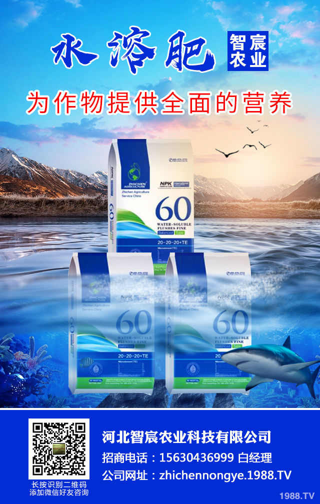 ��������������η����������綬���������g(sh��)