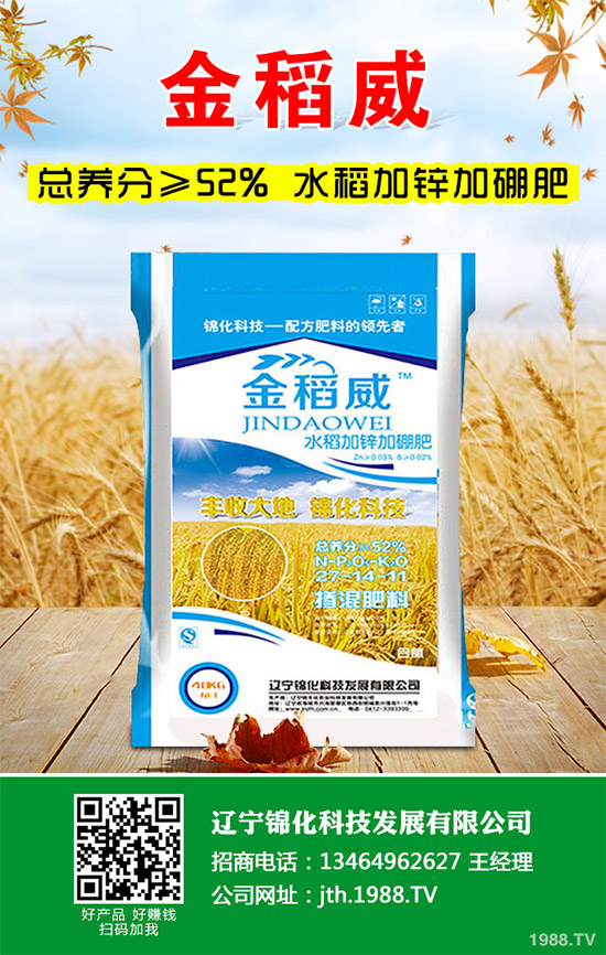 1茼蒿大概什么時候種植?茼蒿的種植時間及種植技術