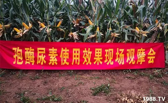 �ٿ���С�����a(ch��n)1471�����pø����ȫ������(j��)�����߮a(ch��n)������(d��ng)֮�o����