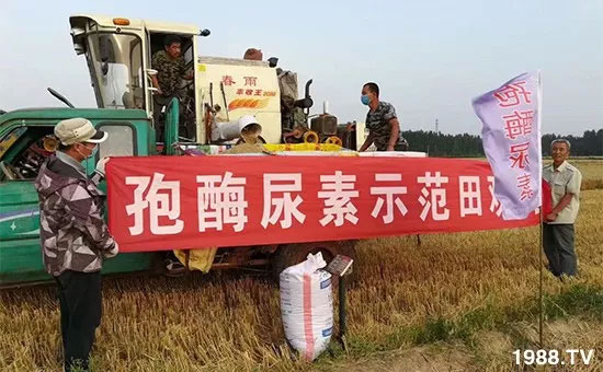 �ٿ���С�����a(ch��n)1471��pø����ȫ������(j��)�����߮a(ch��n)������(d��ng)֮�o����