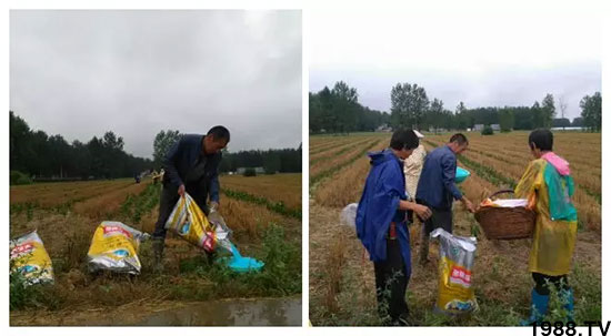 �ٿ���С�����a(ch��n)1471�����pø����ȫ������(j��)�����߮a(ch��n)������(d��ng)֮�o����