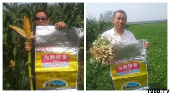 �ٿ���С�����a(ch��n)1471�����pø����ȫ������(j��)�����߮a(ch��n)������(d��ng)֮�o����