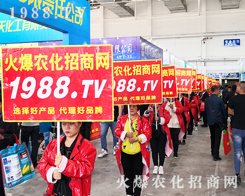 2019�L��ֲ���������r(n��ng)���W(w��ng)�����ƏV�ݲ��ɓ���