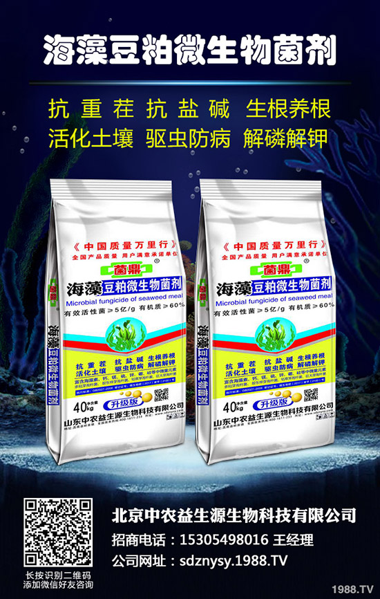    2019年10月第一周最新復(fù)合肥價(jià)格行情走勢(shì)分析