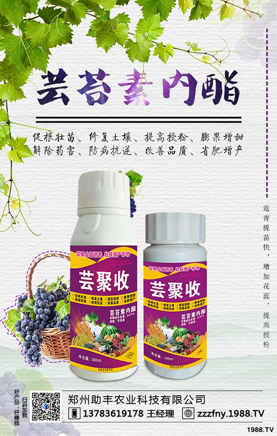 �J�������ժ�����J����ժ����ʲô��̎��