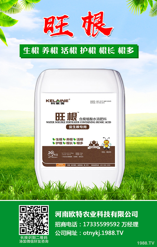 ������ô�Nֲ�����˵ķNֲ���������g(sh��)��