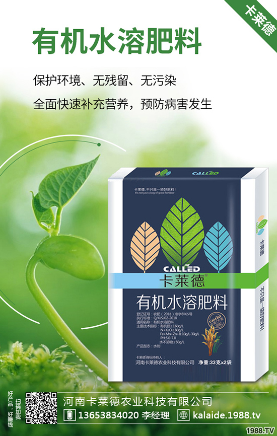 �G�}�L(zh��ng)��̫�L(zh��ng)��ô�k���G�}���޼���������Щ��