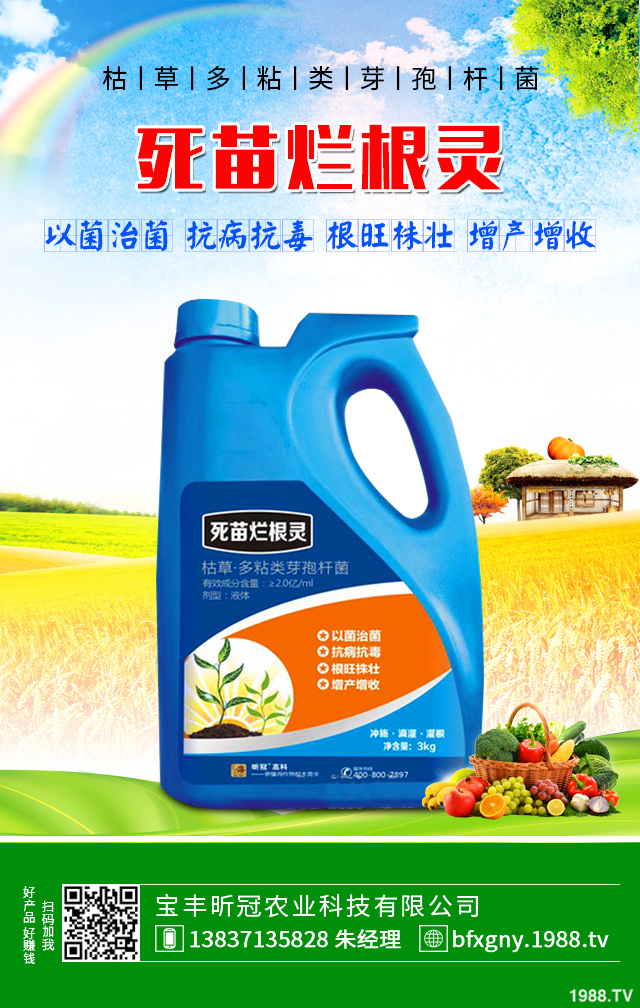 芹菜黑心腐爛怎么防治？芹菜黑心腐爛要對(duì)癥防治