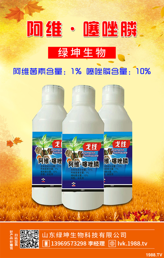     â���������r��