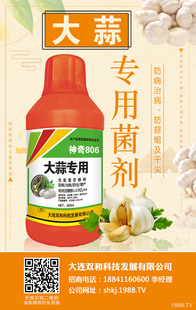 �����ز粡����η����������ز粡�����μ���