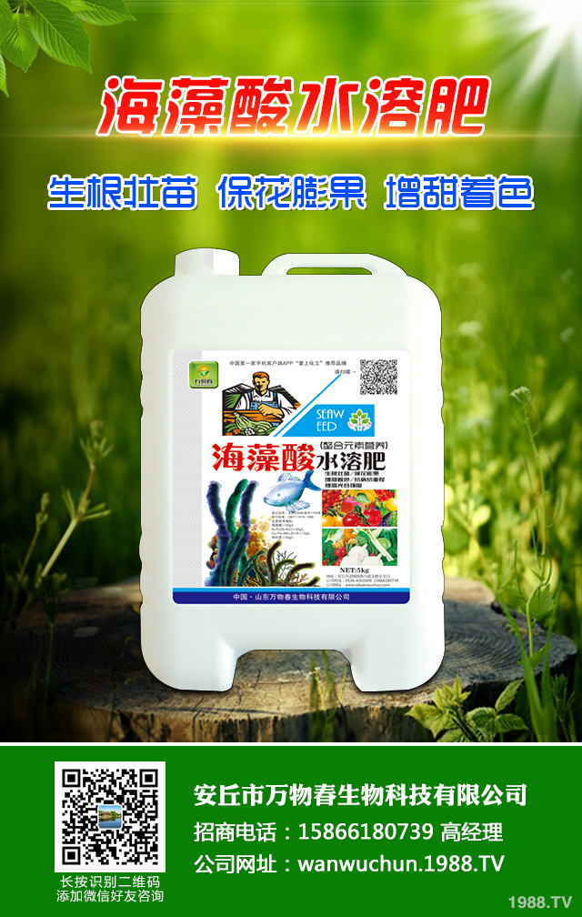 �ﲥС����ô����|(zh��)�����ﲥС������|(zh��)����Ҫ�c