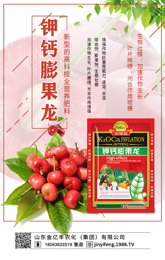 白菜爛心的原因有哪些?白菜爛心的預防措施