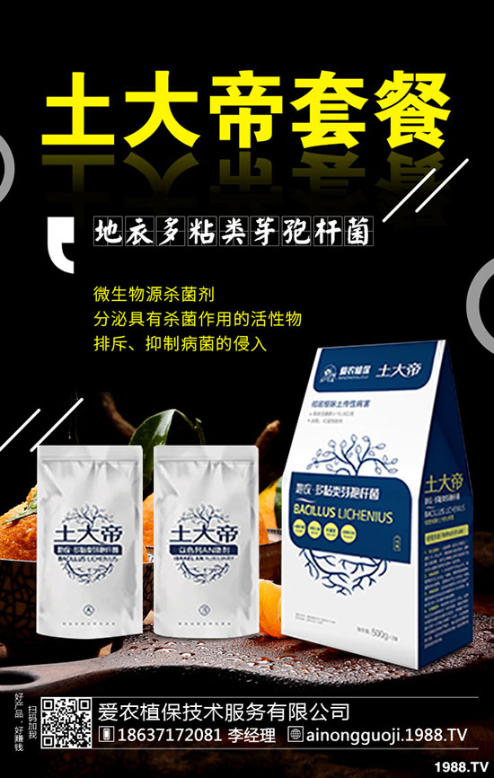 ���·ݿ��ԷNʲô�߲���2019��9���߲˷Nֲָ��!