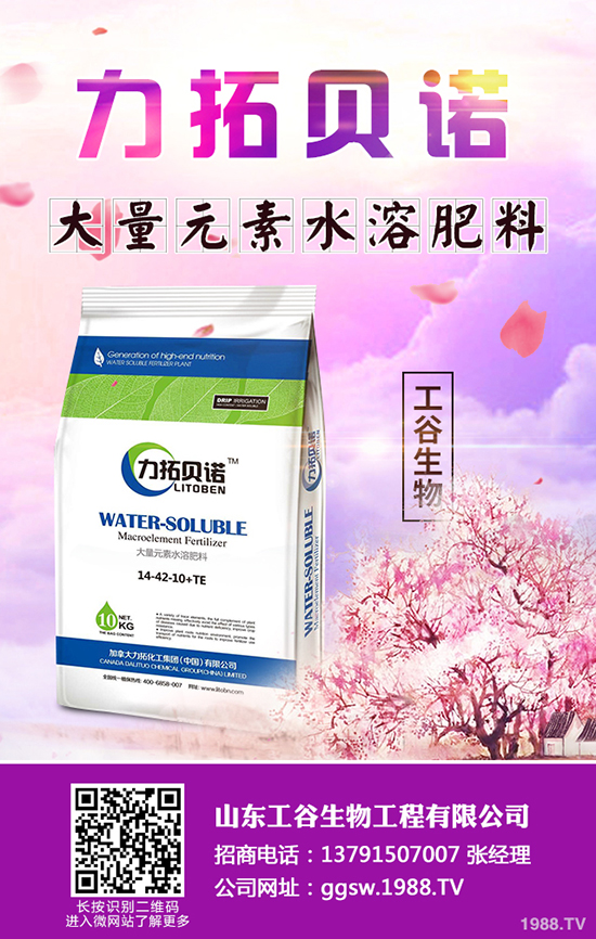 秋冬季小油菜如何種植？秋冬季小油菜種植技術(shù)及田間管理方法！