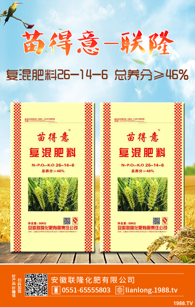 ����ն���ξC��������������ն����ü���