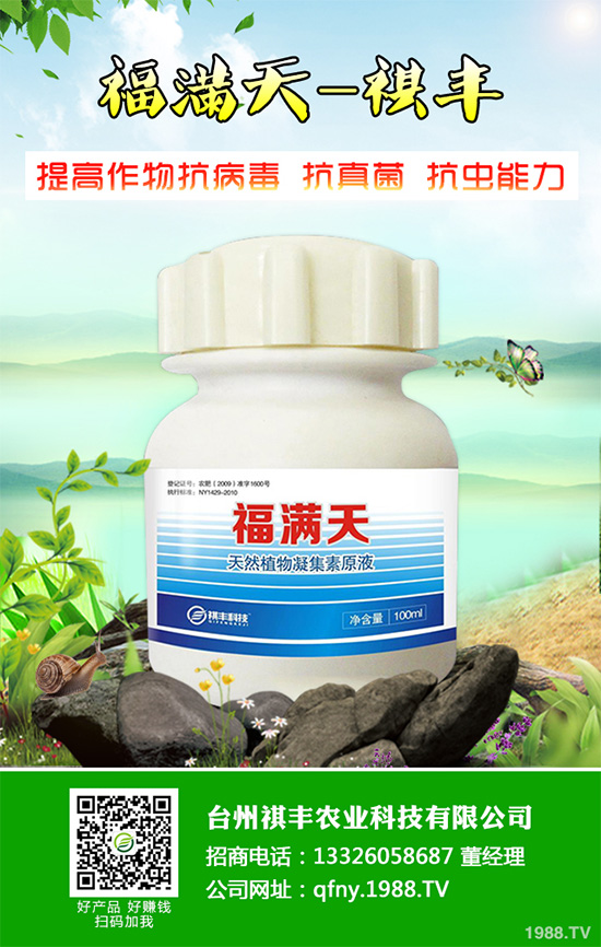 ���n������Щ��̎����Ҋ�n�ĵ�����