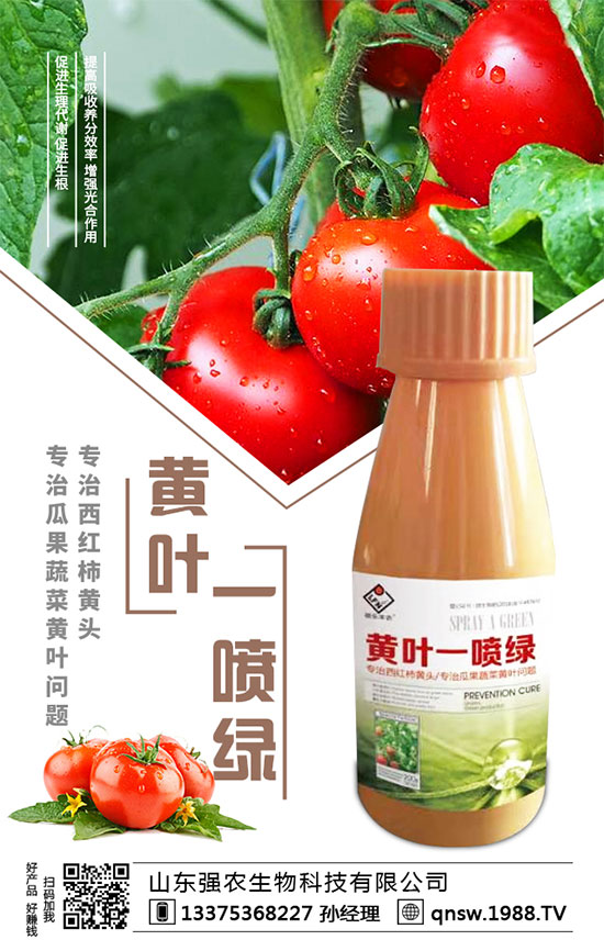 ���}�����N�r�g�����}���Nֲ��Ҫע����Щ�����