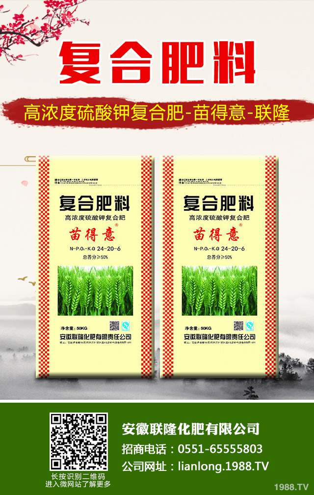 �K�F�~�S�݆��}��ô��Q���K�F�~�S�ݽ�Q����