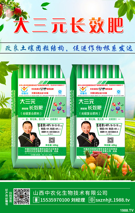 秋季大蔥如何管理?秋季大蔥種植管理方法及技術(shù)!