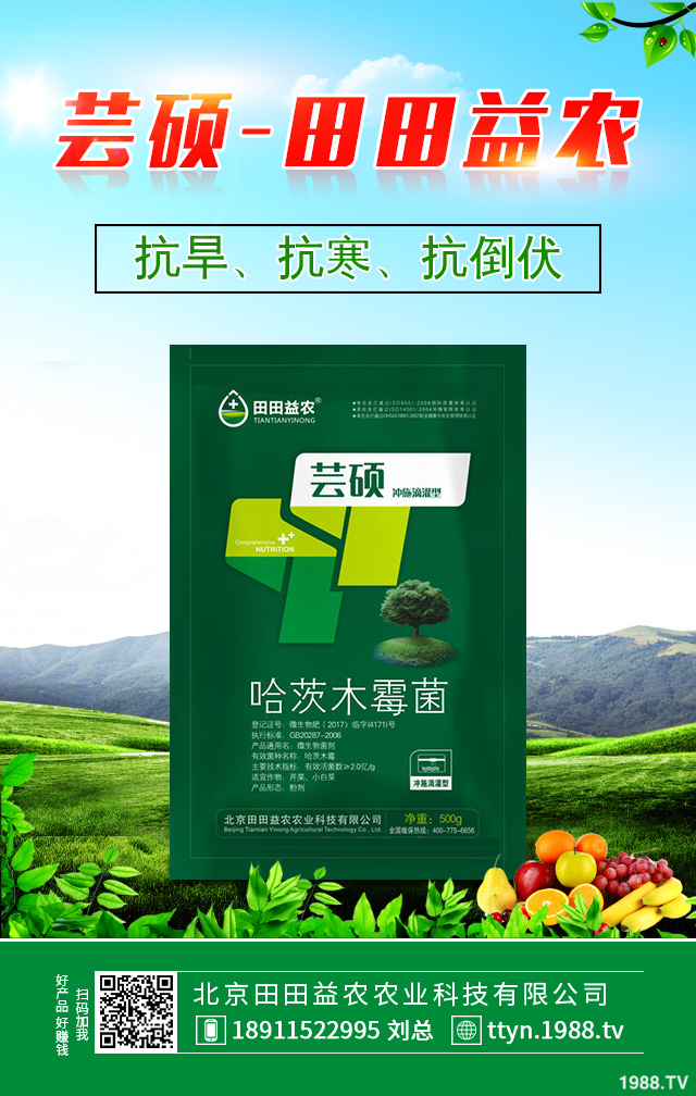 ����������η������������ٷ�������