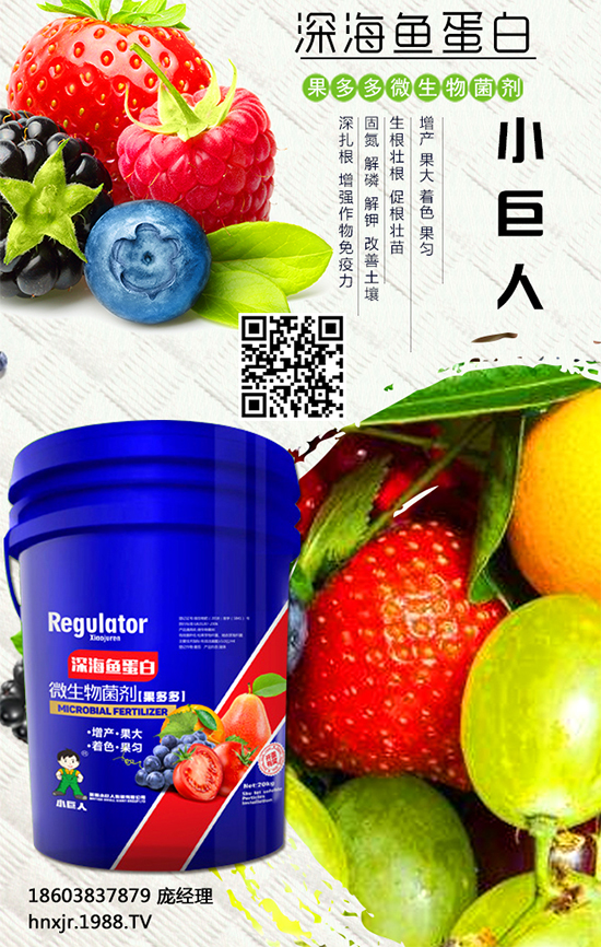 �t����ô�Nֲ���t���Nֲ�ĸ߮a(ch��n)����Ҫ�c(di��n) 