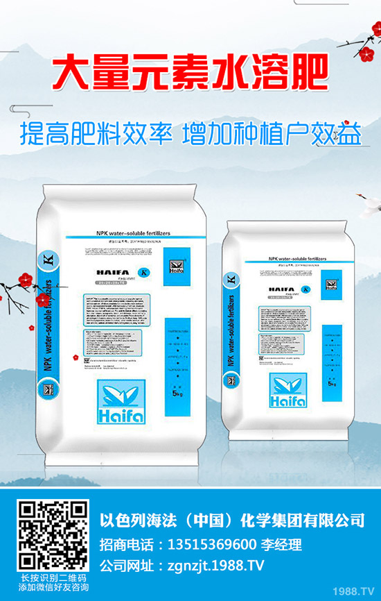     2019��9�µ�һ�܇�(gu��)��(n��i)⛷��Ј�(ch��ng)�r(ji��)�������߄�(sh��)�����܈�(b��o)