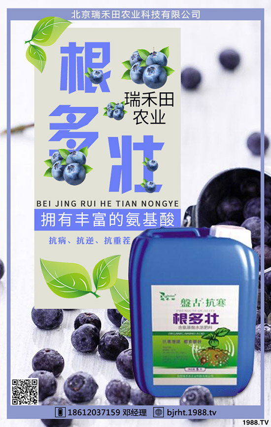 ���t��ʲô�r�g�Nֲ�����t���Nֲ����