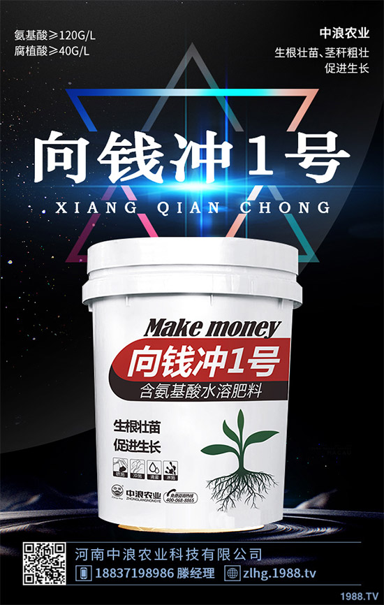 ¶�ؾ��Ĳ�ʲô�r��Nֲ��¶�ؾ��Ĳ˷Nֲ���g(sh��)��ȫ