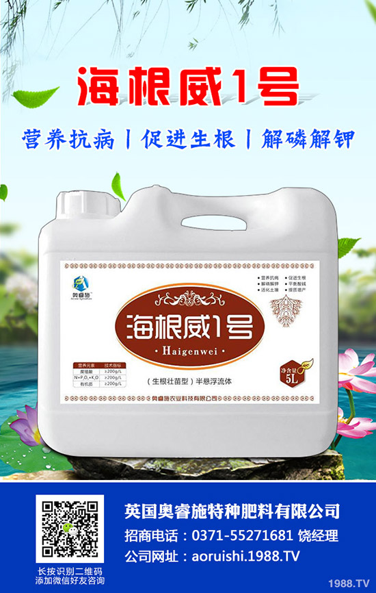 �����^����Щ��̎�����^�ĠI�B(y��ng)�rֵ��ʳ�ý�����