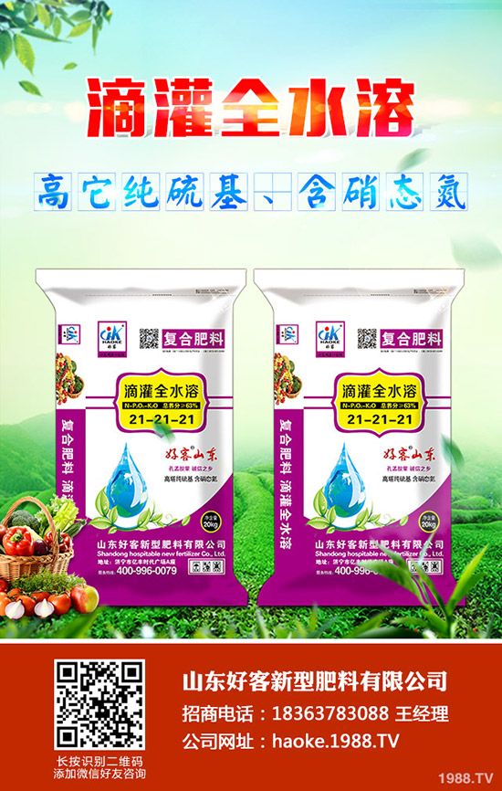 ������ӹ�������ϸ�Ч����������