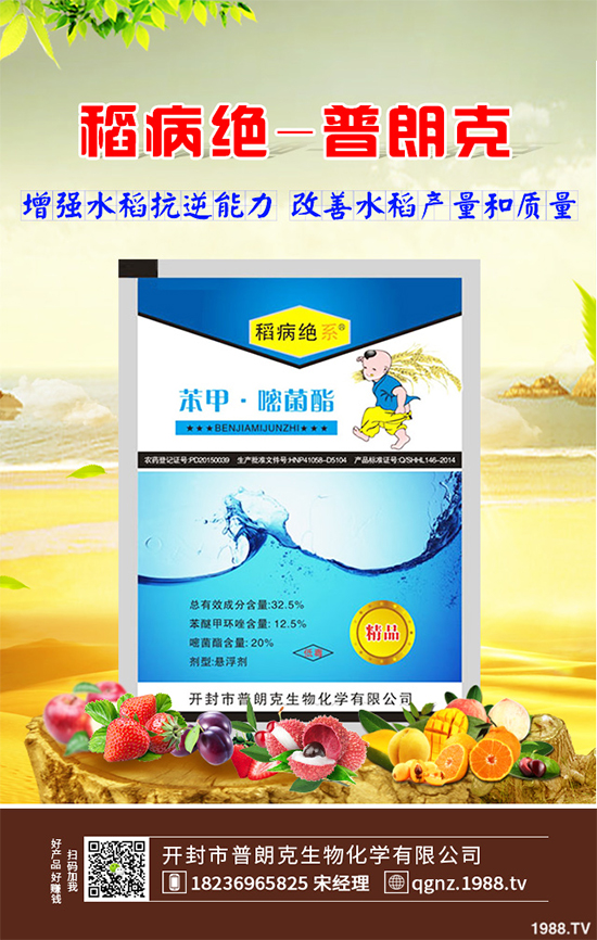 ʮ������