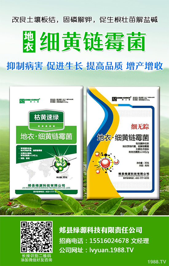 ���·Nʲô�߲˱��^����2019��9���߲˷Nֲָ��