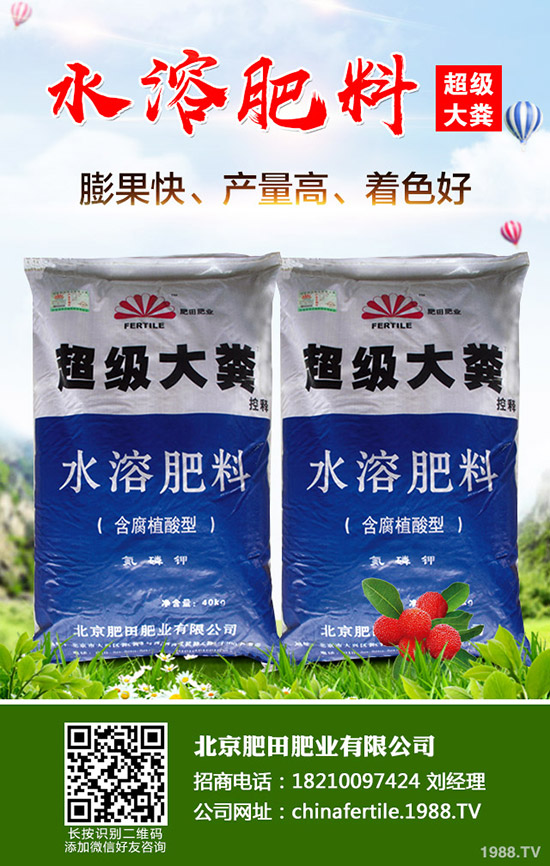 草莓得了紅中柱根腐病怎么辦?草莓紅中柱根腐病識別方法和防治!