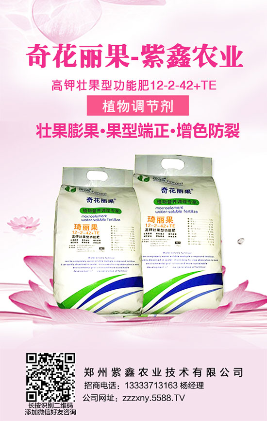 �S��ʩ�ʕr�������������֪������